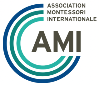 AMI Logo